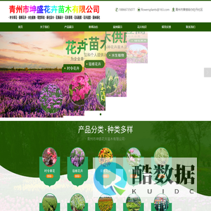 宿根花卉,山东草花,草花批发,花海设计-青州市坤盛花卉苗木有限公司