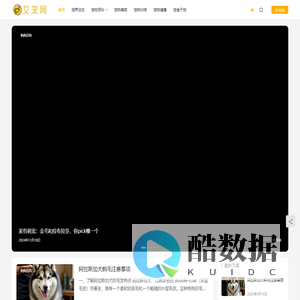 探索宠物生活，共享养宠乐趣