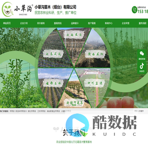 苹果苗-苹果苗新品种-矮化苹果苗-莱州小草沟苗木基地