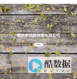 重庆冬恬梨传媒有限公司
