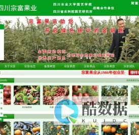 成都天府新区宗富水果种植专业合作社|板栗苗