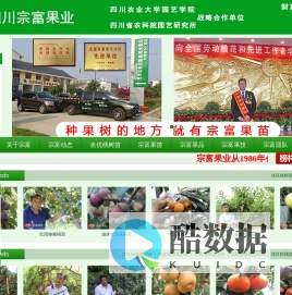 成都天府新区宗富水果种植专业合作社|桃树苗