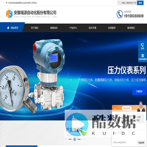 YM隔膜压力表_YE-100膜盒压力表-安徽瑞源自动化股份有限公司