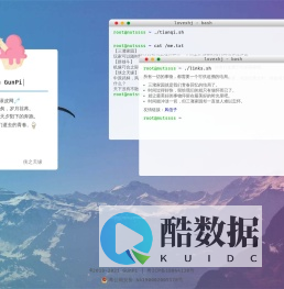 滚皮网