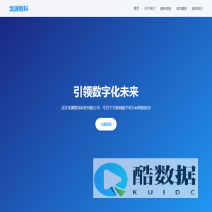 武汉龙渊智科科技有限公司 - 数字化与AI智能应用专家