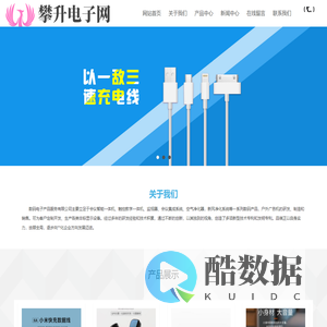 攀升电子网