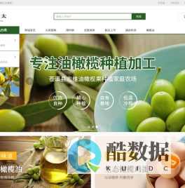 榄太太_橄榄油_橄榄鸡蛋_苍溪县志维油橄榄果种植家庭农场