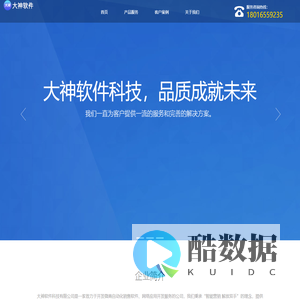 大神软件科技 - 自动化软件开发