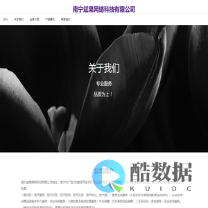 南宁斌果网络科技有限公司