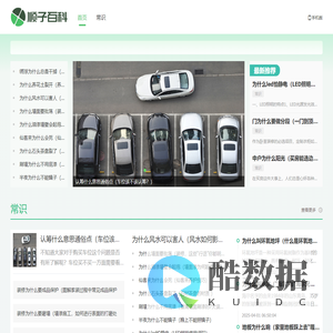 顺子百科