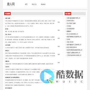 唐人网