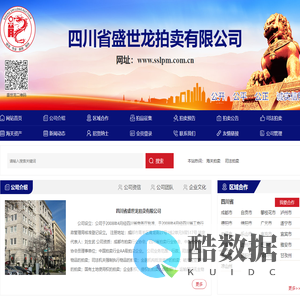 四川省盛世龙拍卖有限公司