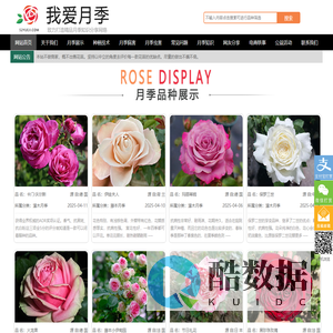 月季_月季花_欧洲月季_欧月_我爱月季