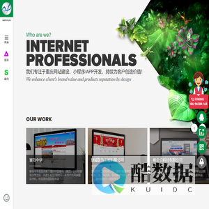 重庆网站建设公司
