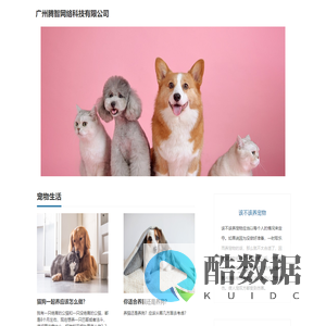 我爱猫狗
