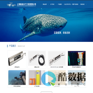 上海鲸波水下工程有限公司