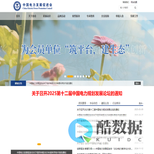 中国电力发展促进会