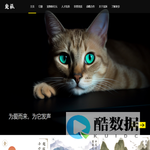 浙江宠派信息科技有限公司