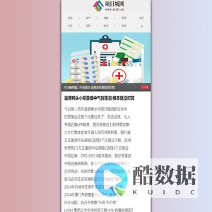 项目城网