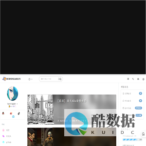 burningash.cn