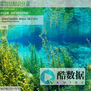 零散坑知识分享