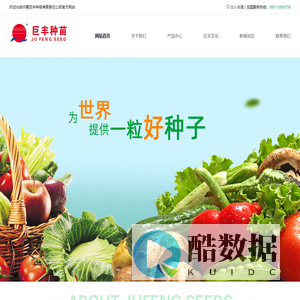 宁夏巨丰种苗有限责任公司--(蔬菜种子)-官网