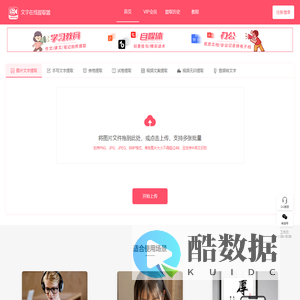 文字在线提取器