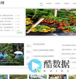 水果切