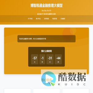金融推理大模型