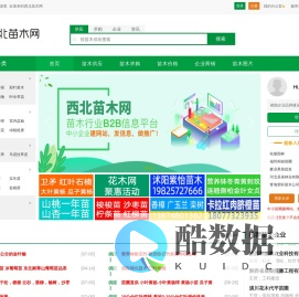 西北苗木网--苗木求购|绿化苗木价格|陕西苗木