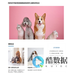 猫狗日常生活