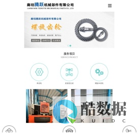 盆角齿,弧齿铣,差速器总成-廊坊腾跃机械部件有限公司