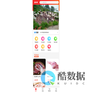 伏牛山生态羊