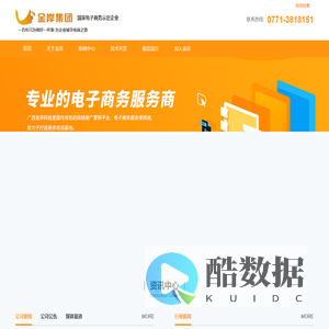 广西金岸-广西专业的电子商务服务商