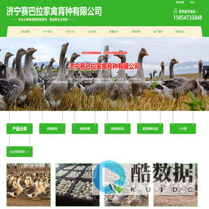 朗德鹅苗,养殖场,价格-济宁赛巴拉家禽育种