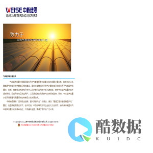 上海中核维思仪器仪表有限公司