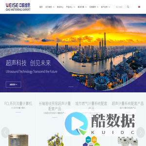 上海中核维思仪器仪表股份有限公司-上海中核维思仪器仪表股份有限公司