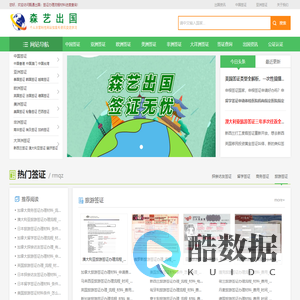 签证办理流程