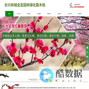 榉树/香樟/无患子/乌桕/红梅种植基地批发供应商|浙江长兴全友绿化苗木场