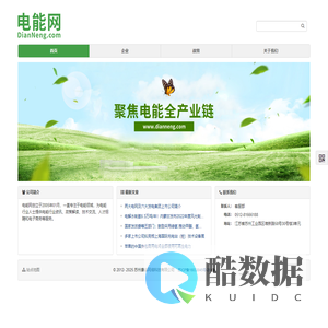 电能网