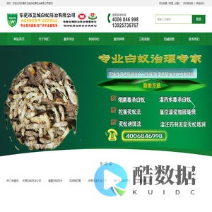 东莞白蚁防治公司|塘厦白蚁防治|凤岗除四害|东莞清溪杀虫公司|樟木头白蚁防治公司|塘厦杀虫公司