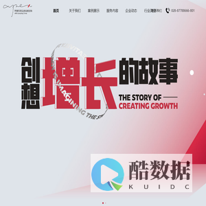 阿佩克思品牌咨询-创想增长的故事