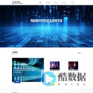 物联网时代的安全视频专家