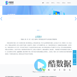 中数软-China Data Software