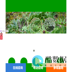 四川成都中草药材种植基地,提供四川白芨种植,四川黄精种植,四川重楼种植,四川天麻种植等药材种子药材种苗-四川润砾农业有限公司