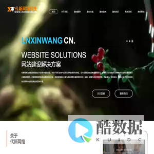 鞍山网站开发,鞍山网站建设,鞍山软件开发,鞍山APP开发,网站开发,软件开发,代新网络