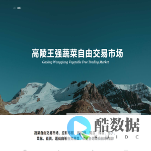 我的信息展示