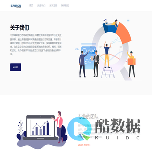 北京博睿黑石市场研究有限公司