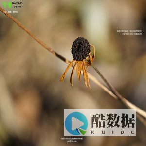 宁馨