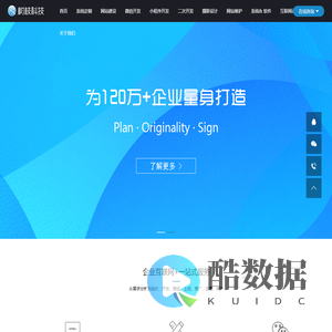 seo计费管理系统-网站程序二次开发-系统定制开发 - 树枝科技